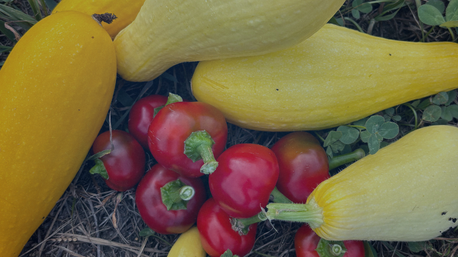 Image of squash and peppers